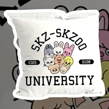 Cojin Stray Kids - Imagen 1