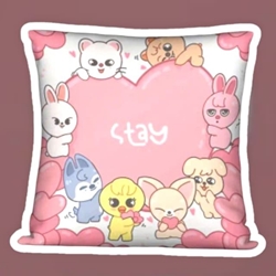 Cojin Stray kids - Imagen 1