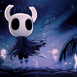 Hollow Knight