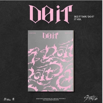 Set con CD de Stray kids DO IT - Imagen 1