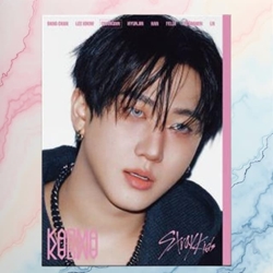 Set de álbum Stray kids - Imagen 1