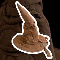 Sombrero Seleccionador - Imagen 1