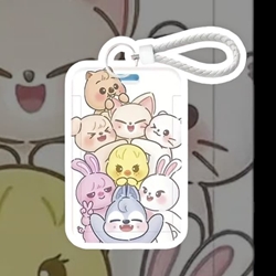 Tarjetera Stray Kids - Imagen 1